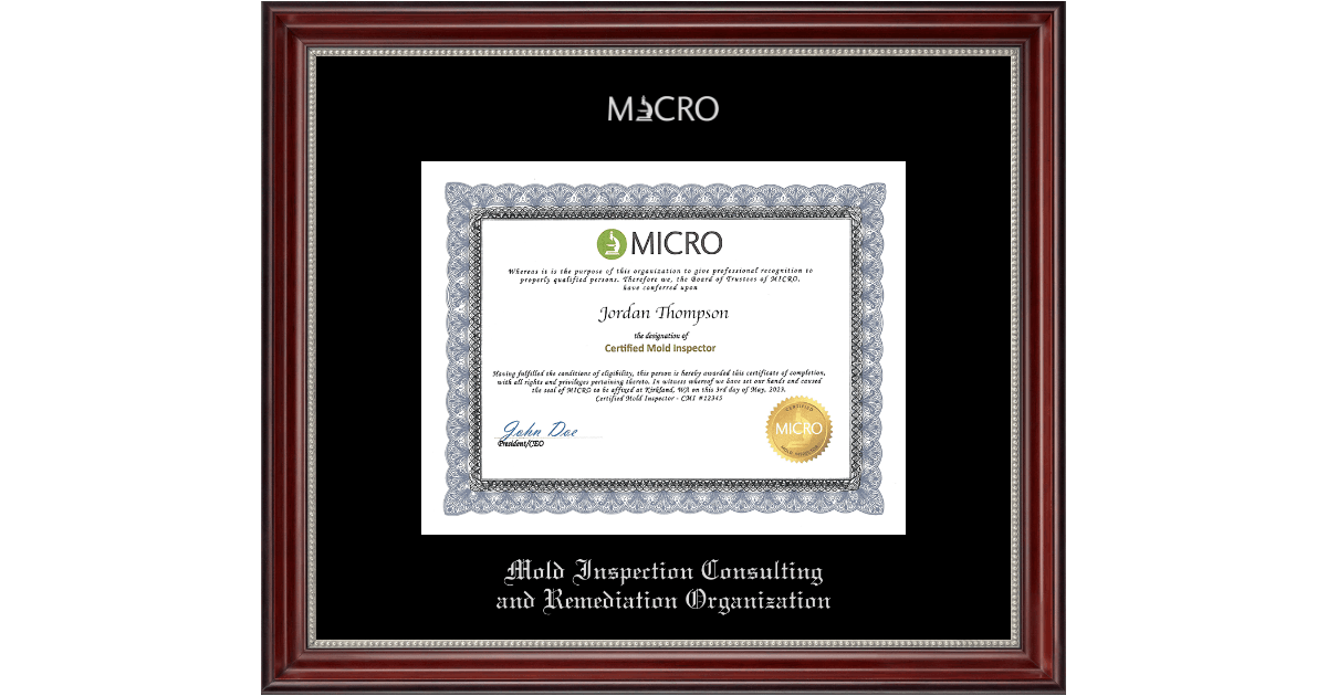 Mold Inspection Consulting and Remediation Organization Silver Embossed