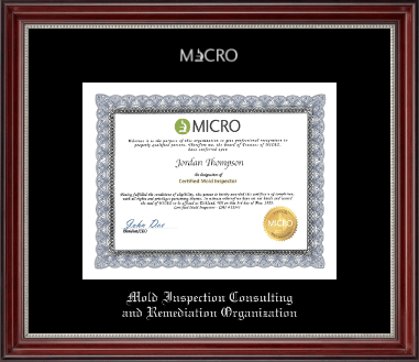 Mold Inspection Consulting and Remediation Organization certificate frame - Silver Embossed Certificate Frame in Kensington Silver