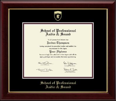 School of Professional Audio and Sound diploma frame - Gold Embossed Diploma Frame in Gallery