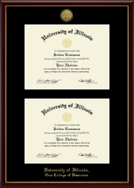 Gold Engraved Double Diploma Frame