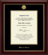 State of Texas Gold Engraved Medallion Certificate Frame Vertical in Gallery