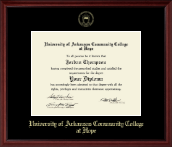 University of Arkansas Community College at Hope Gold Embossed Diploma Frame in Camby