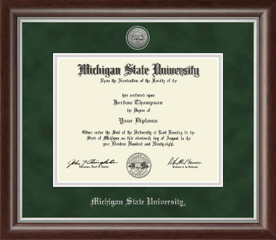 Michigan State University diploma frame - Silver Engraved Medallion Diploma Frame in Devonshire
