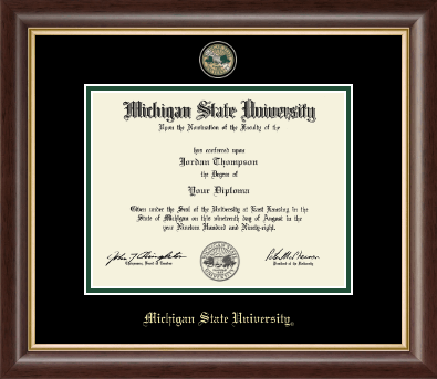 Michigan State University diploma frame - Masterpiece Medallion Diploma Frame in Hampshire