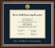 Texas A&M University Kingsville Gold Engraved Medallion Diploma Frame in Hampshire
