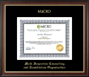 Mold Inspection Consulting and Remediation Organization certificate frame - Gold Embossed Certificate Frame in Studio Gold
