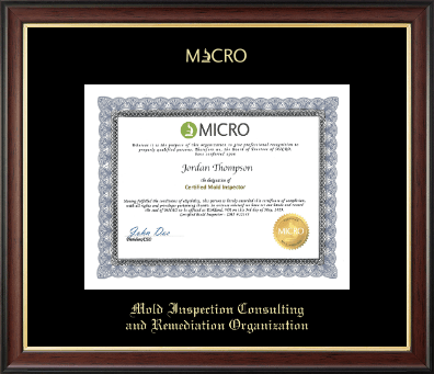 Mold Inspection Consulting and Remediation Organization certificate frame - Gold Embossed Certificate Frame in Studio Gold