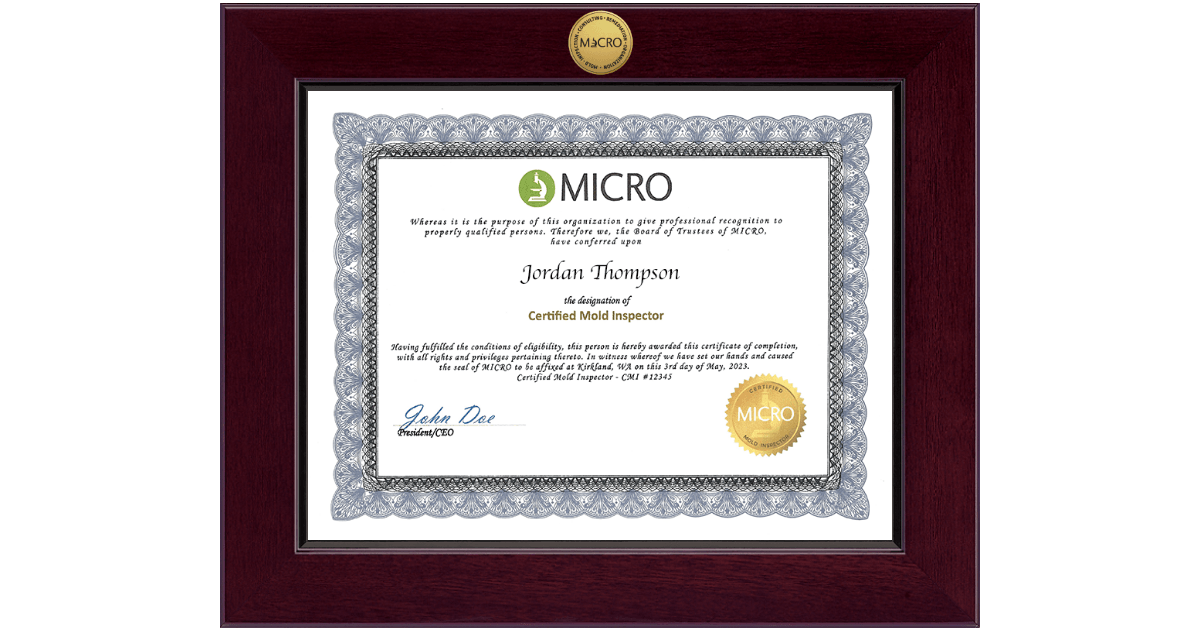 Mold Inspection Consulting and Remediation Organization Century Gold