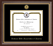 National Rifle Association of America Gold Engraved Medallion Certificate Frame in Hampshire