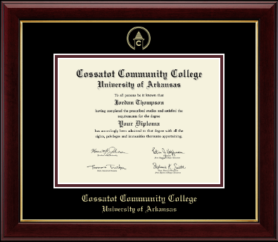 Cossatot Community College University of Arkansas diploma frame - Gold Embossed Diploma Frame in Gallery