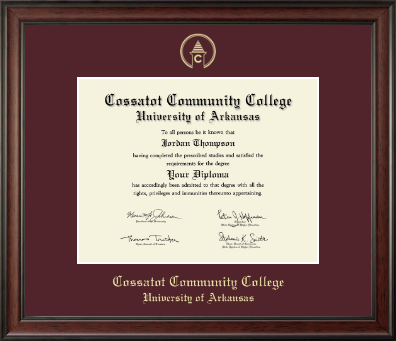 Cossatot Community College University of Arkansas diploma frame - Gold Embossed Diploma Frame in Studio