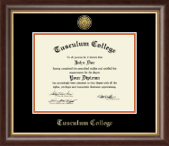 Tusculum College Gold Engraved Diploma Frame in Hampshire