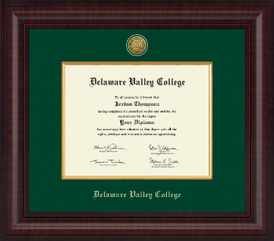 Delaware Valley University diploma frame - Presidential Gold Engraved Diploma Frame in Premier