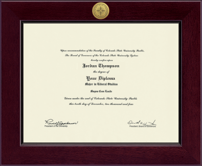 Colorado State University Pueblo diploma frame - Century Gold Engraved Diploma Frame in Cordova