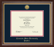 Colorado State University Pueblo Gold Engraved Medallion Diploma Frame in Hampshire