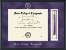 Palmer College of Chiropractic Iowa Tassel Edition Diploma Frame in Obsidian