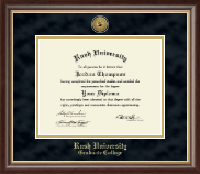 Rush University diploma frame - Gold Engraved Diploma Frame in Hampshire