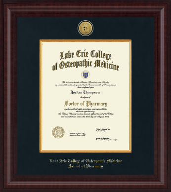Lake Erie College of Osteopathic Medicine diploma frame - Presidential Gold Engraved Diploma Frame in Premier