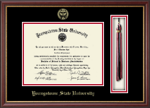 Youngstown State University Tassel Edition Diploma Frame in Newport