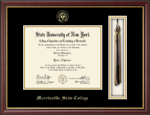 Morrisville State College Tassel Edition Diploma Frame in Newport