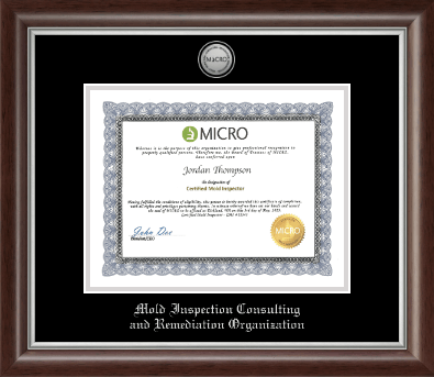 Mold Inspection Consulting and Remediation Organization certificate frame - Silver Engraved Medallion Certificate Frame in Devonshire