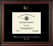 Wayne County Community College District Gold Embossed Diploma Frame in Studio