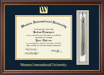 Western International University diploma frame - Tassel & Cord Diploma Frame in Newport