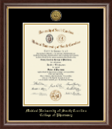 Medical University of South Carolina Gold Engraved Medallion Diploma Frame in Hampshire
