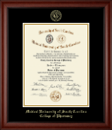 Medical University of South Carolina Gold Embossed Diploma Frame in Cambridge