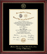 Medical University of South Carolina Gold Embossed Diploma Frame in Kensington Gold