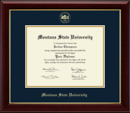 Gold Embossed Diploma Frame