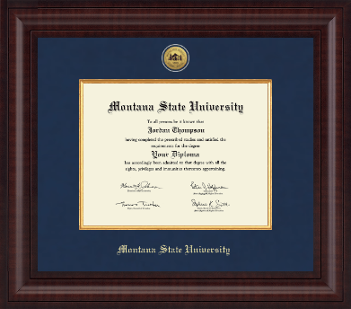 Montana State University Bozeman diploma frame - Presidential Gold Engraved Diploma Frame in Premier