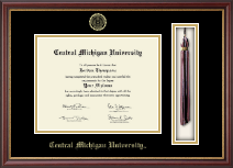 Central Michigan University diploma frame - Tassel & Cord Diploma Frame in Newport