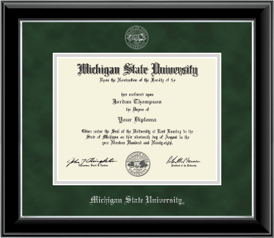 Michigan State University diploma frame - Silver Embossed Diploma Frame in Onyx Silver