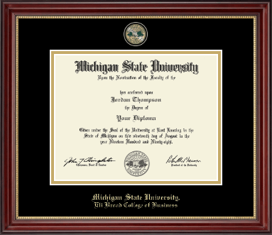 Michigan State University diploma frame - Masterpiece Medallion Diploma Frame in Kensington Gold