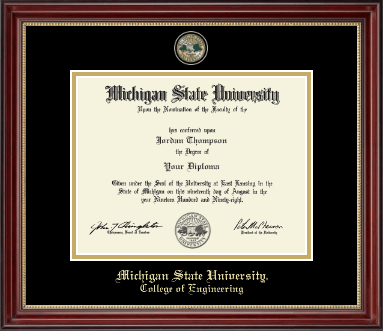 Michigan State University diploma frame - Masterpiece Medallion Diploma Frame in Kensington Gold