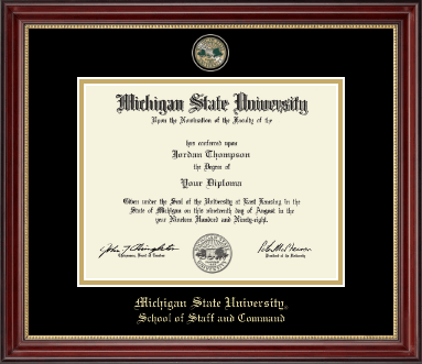 Michigan State University diploma frame - Masterpiece Medallion Diploma Frame in Kensington Gold