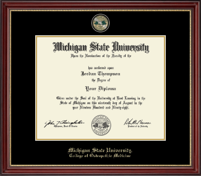 Michigan State University diploma frame - Masterpiece Medallion Diploma Frame in Kensington Gold