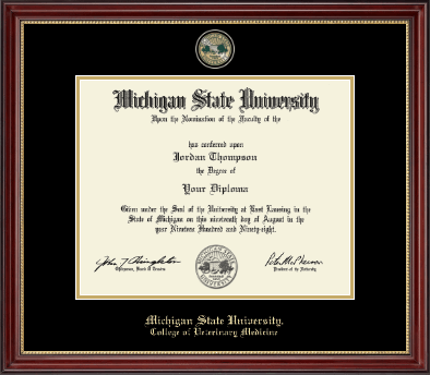 Michigan State University diploma frame - Masterpiece Medallion Diploma Frame in Kensington Gold