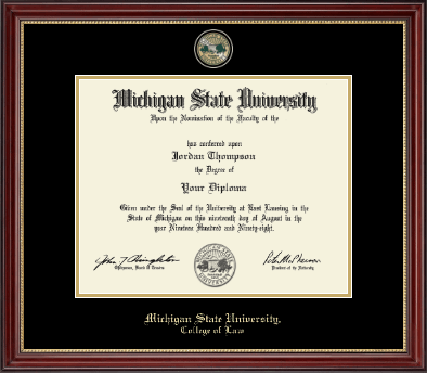 Michigan State University diploma frame - Masterpiece Medallion Diploma Frame in Kensington Gold