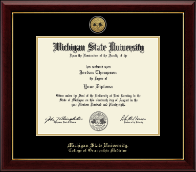 Michigan State University diploma frame - Gold Engraved Medallion Diploma Frame in Gallery