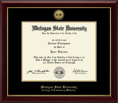 Michigan State University diploma frame - Gold Engraved Medallion Diploma Frame in Gallery