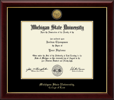 Michigan State University diploma frame - Gold Engraved Medallion Diploma Frame in Gallery