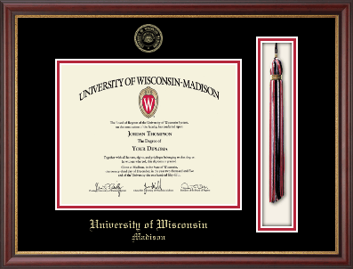 University of Wisconsin Madison diploma frame - Tassel & Cord Diploma Frame in Newport