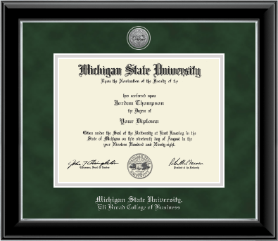 Michigan State University diploma frame - Silver Engraved Medallion Diploma Frame in Onyx Silver