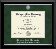 Michigan State University diploma frame - Silver Engraved Medallion Diploma Frame in Onyx Silver