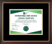 International Code Council certificate frame - Custom Certificate Frame in Studio Gold
