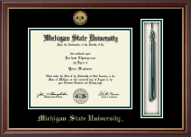 Michigan State University diploma frame - Gold Engraved Medallion and Tassel & Cord Diploma Frame in Newport