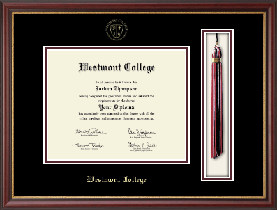 Westmont College diploma frame - Tassel & Cord Diploma Frame in Newport