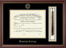 Bowdoin College Tassel Edition Diploma Frame in Newport